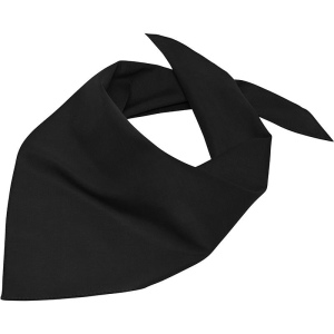 Foulard triangle