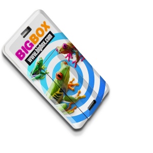 cadeaux affaire - Mini carte USB platinium 1 Go
