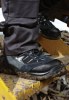 Chaussure de haute sécurité Storm Dickies