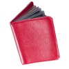 Porte Carte Twelve