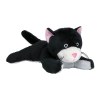 Nettoyeur d'écran chat