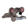 Nettoyeur d'écran souris