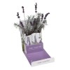 Carte de vœux plante Lavender