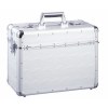 Pilote case