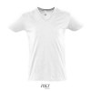 Tee-shirt homme - Master - 11155B